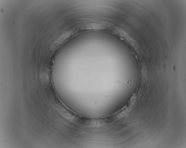 X0000069360305200605192105