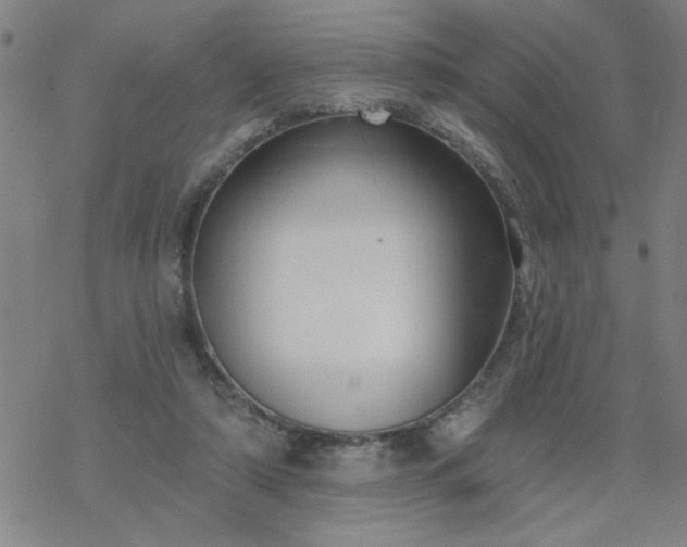 X0000069360306200605192105