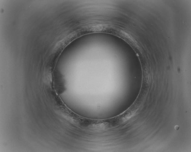 X0000069360307200605192105