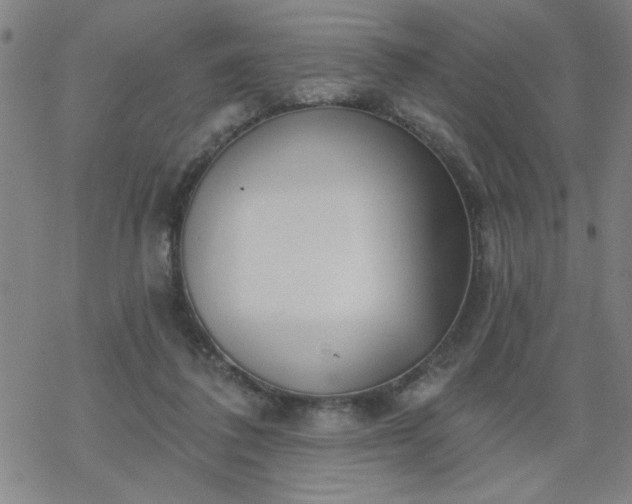 X0000069360308200605192105