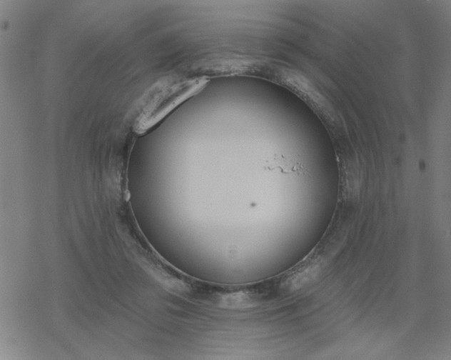 X0000069360309200605192105