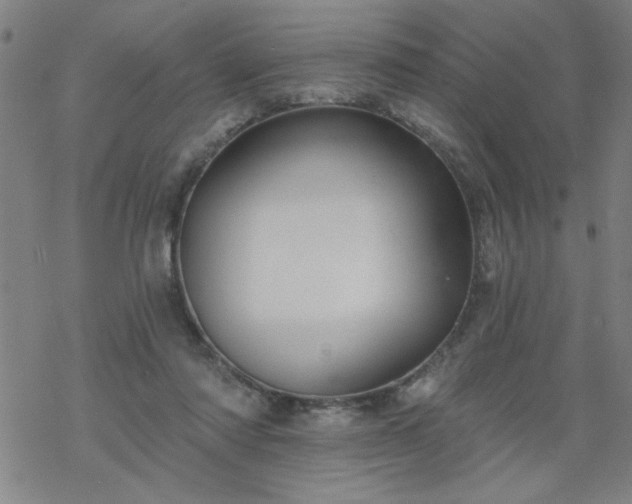 X0000069360310200605192105