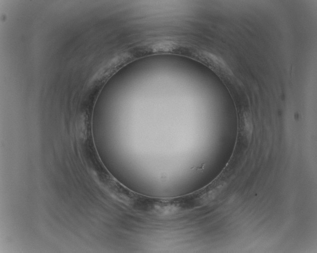 X0000069360311200605192105