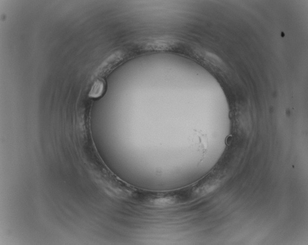 X0000069360312200605192105