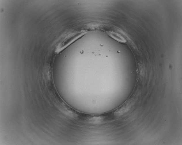 X0000069360313200605192105