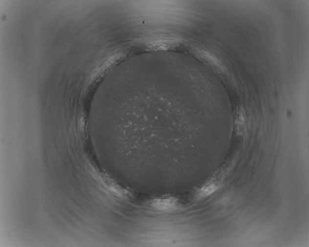 X0000069360314200605192105