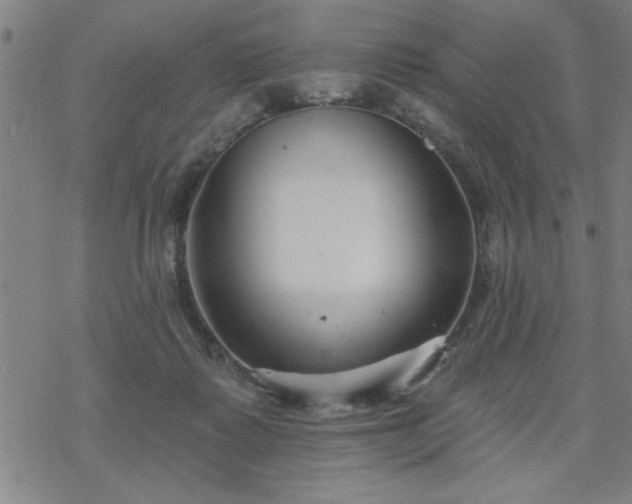 X0000069360315200605192105