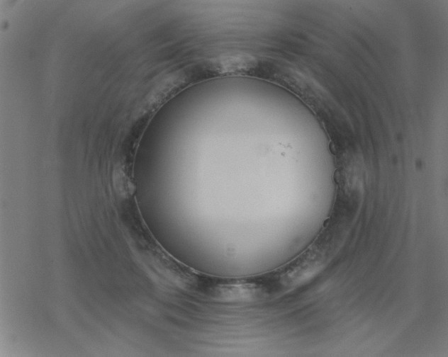 X0000069360316200605192105