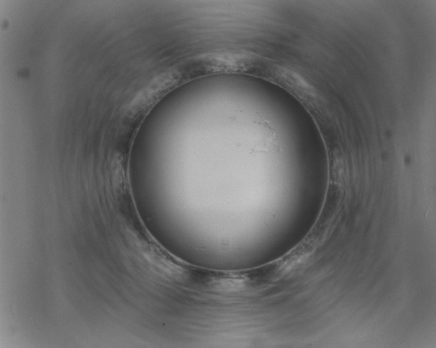 X0000069360318200605192105