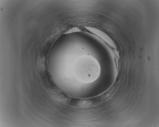 X0000069360319200605192104