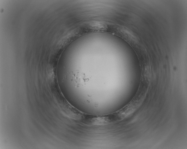 X0000069360320200605192104