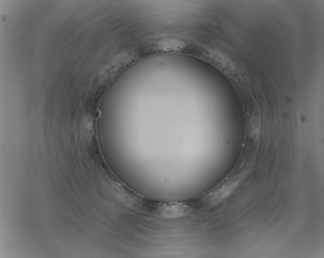 X0000069360321200605192104