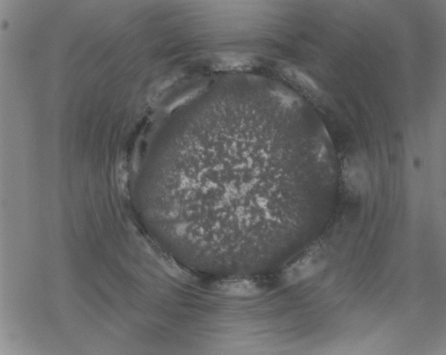 X0000069360322200605192104