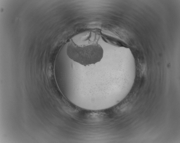 X0000069360323200605192104