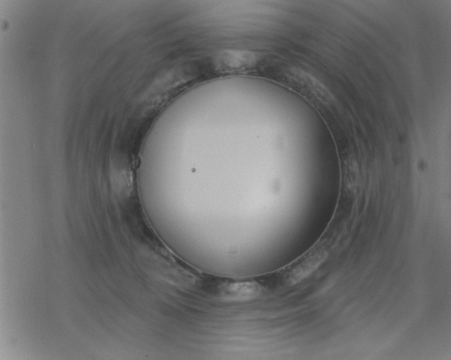 X0000069360324200605192104