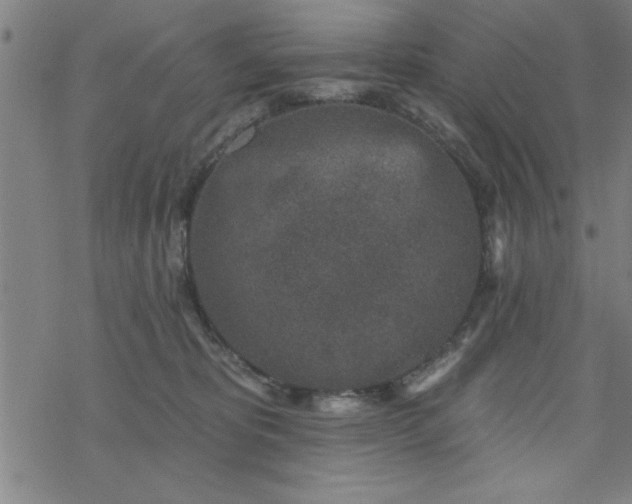 X0000069360325200605192104