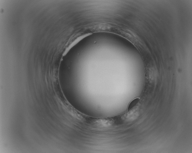 X0000069360326200605192104