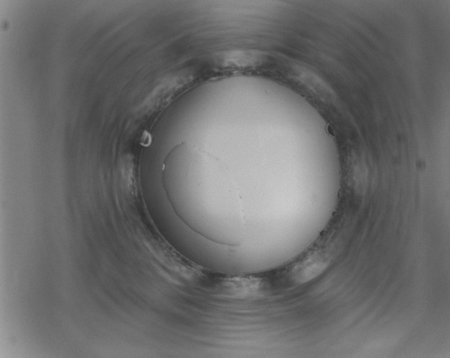 X0000069360328200605192104