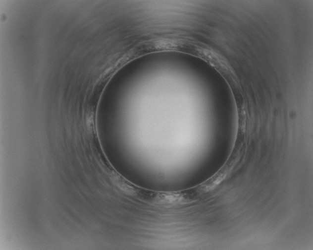 X0000069360329200605192104