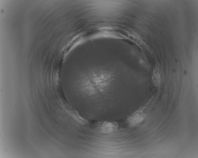 X0000069360330200605192104