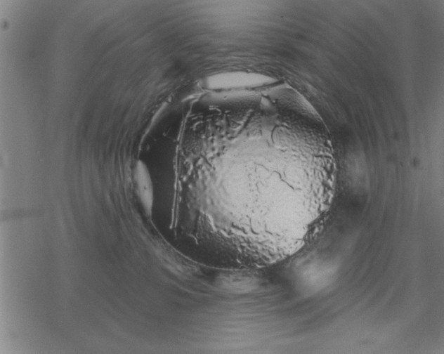 X0000069360331200605192104