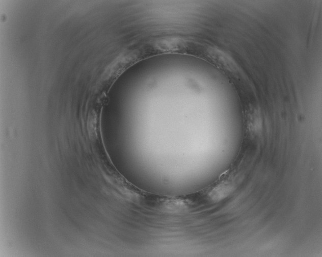 X0000069360332200605192104