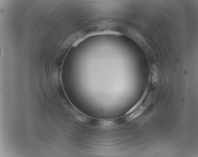 X0000069360333200605192104