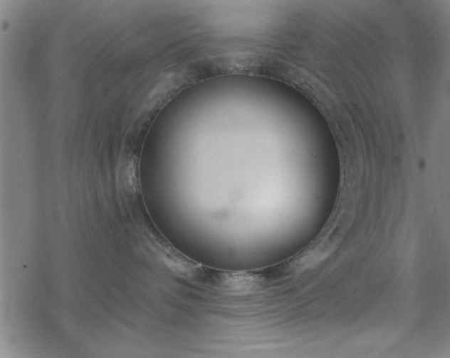 X0000069360336200605192104