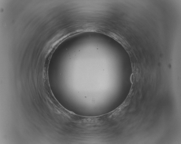 X0000069360338200605192103