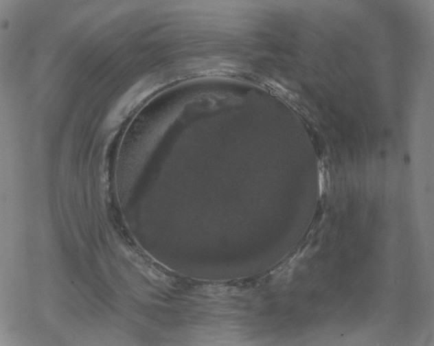 X0000069360339200605192103