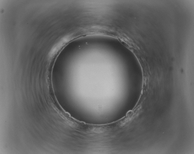 X0000069360341200605192104