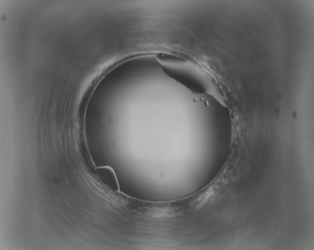 X0000069360342200605192104