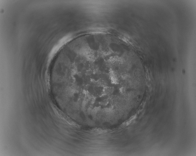 X0000069360343200605192104