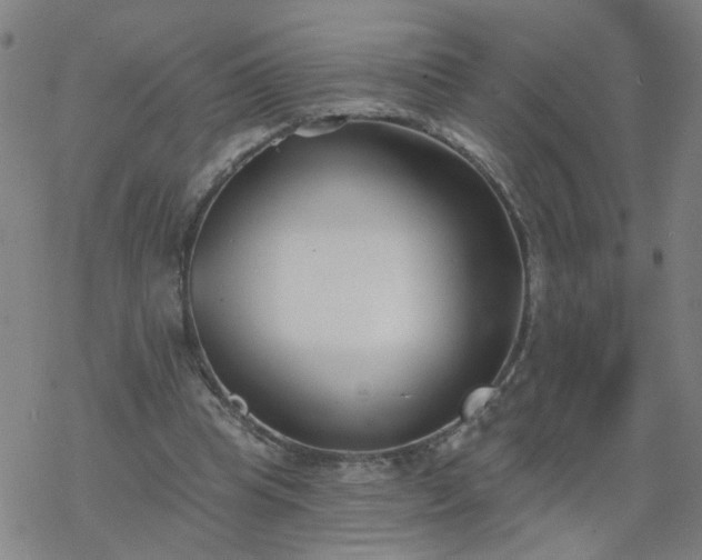 X0000069360345200605192104