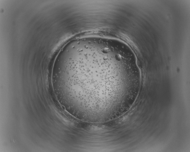 X0000069360346200605192104