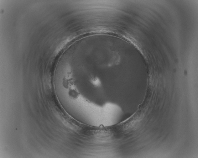 X0000069360347200605192104