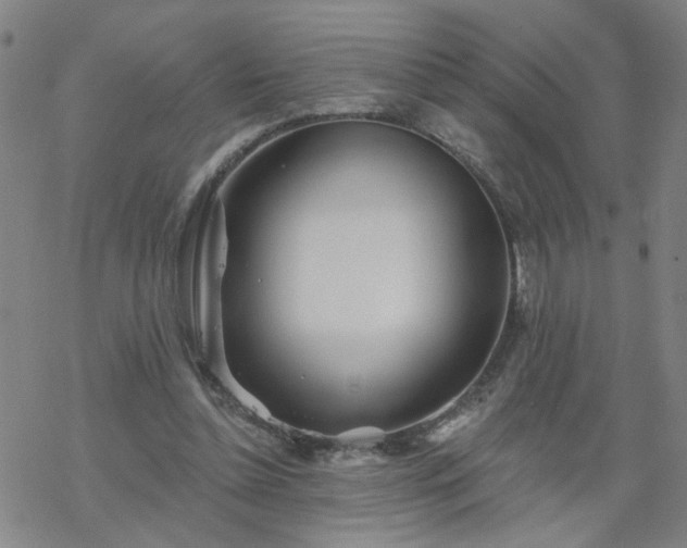 X0000069360348200605192104