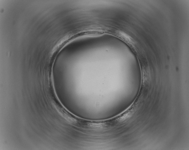 X0000069360349200605192104