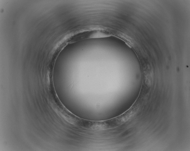 X0000069360350200605192104