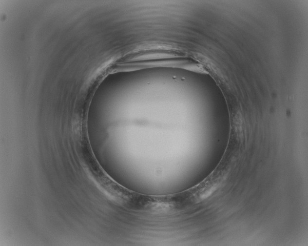 X0000069360352200605192104