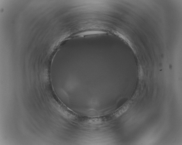 X0000069360353200605192104