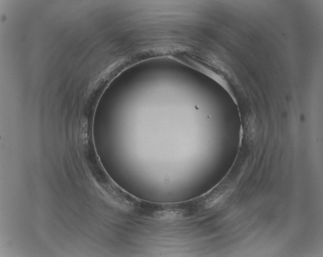 X0000069360356200605192104