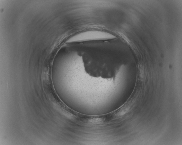 X0000069360357200605192104