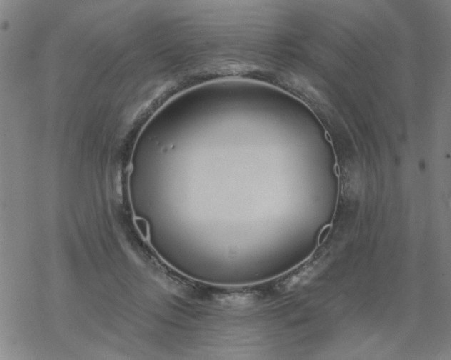 X0000069360358200605192104