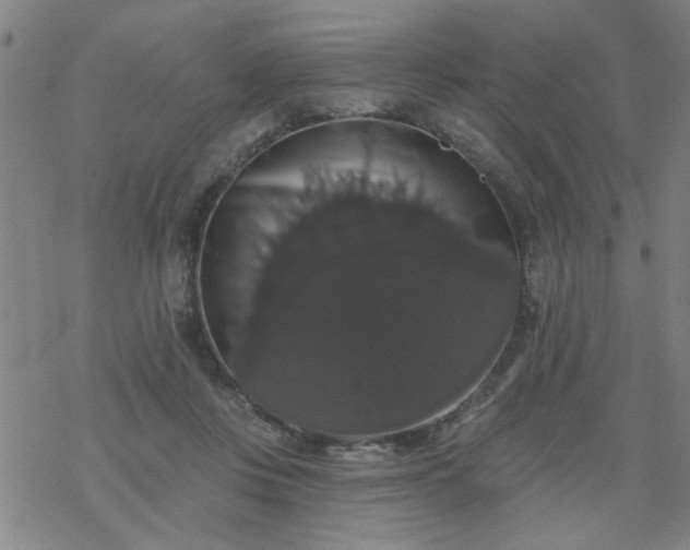 X0000069360359200605192104