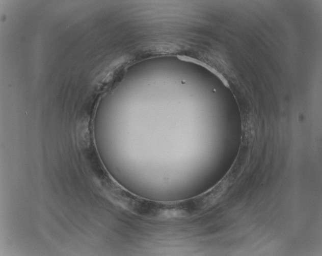 X0000069360360200605192104