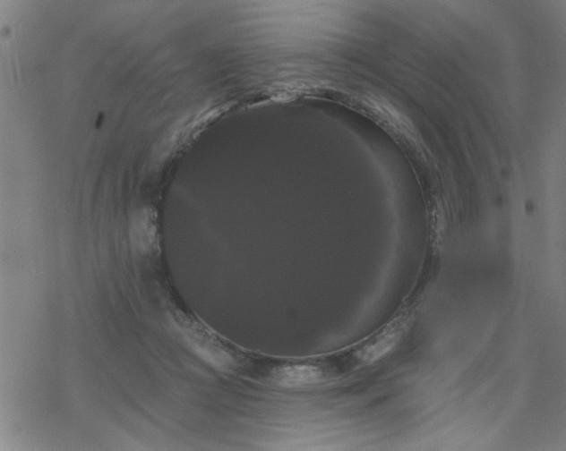 X0000069360361200605192104