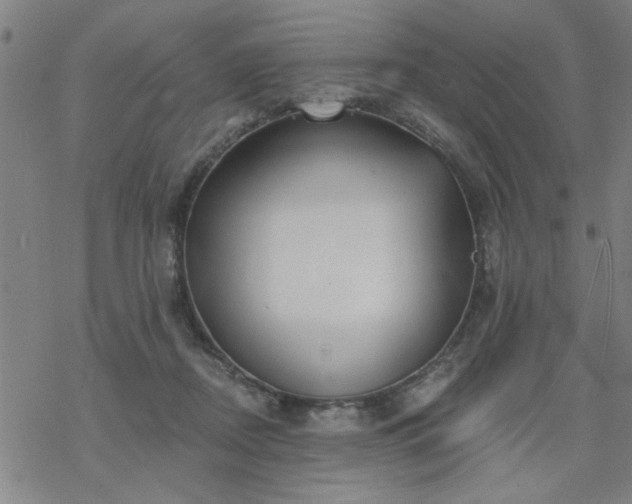 X0000069360362200605192104