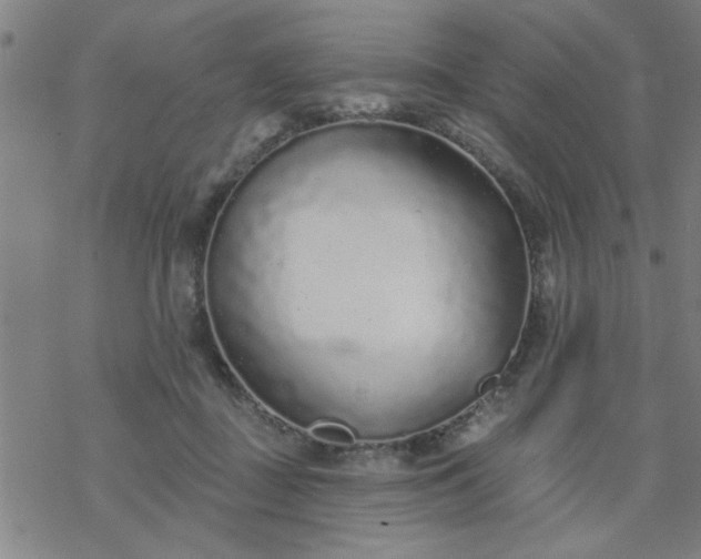 X0000069360363200605192104