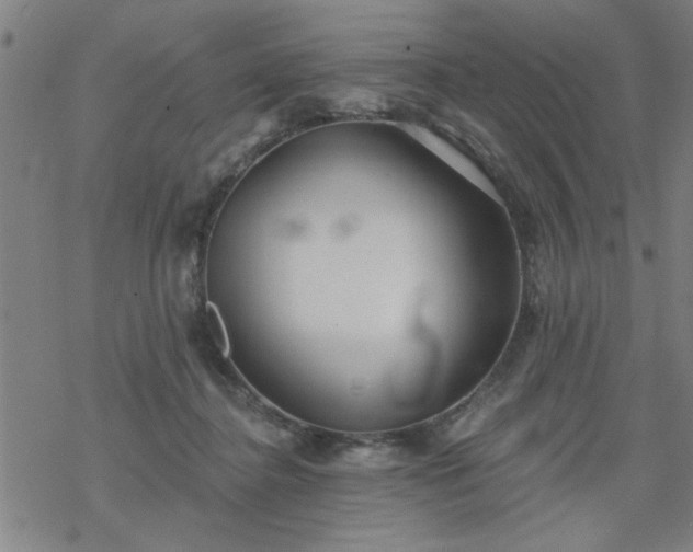 X0000069360364200605192104